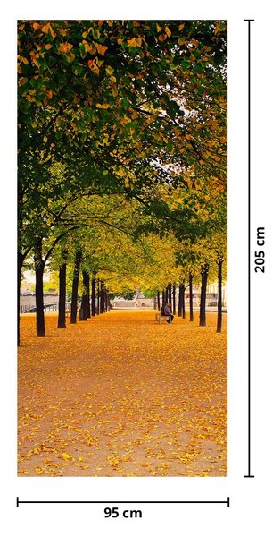 Fototapeta na drzwi - Aleja jesiennych drzew (95x205cm)