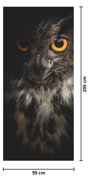 Fototapeta na drzwi - Sowa (95x205cm)