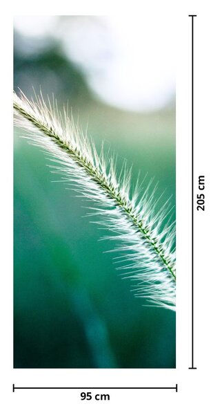 Fototapeta na drzwi - Źdźbło trawy (95x205cm)