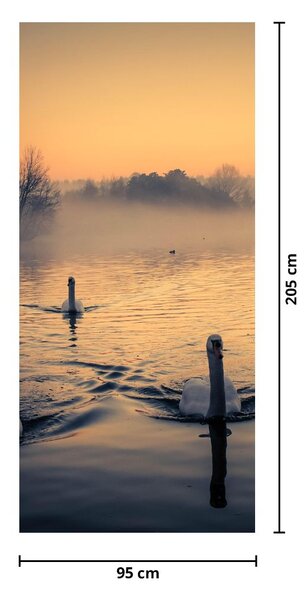 Fototapeta na drzwi - Łabędzie na wodzie we mgle (95x205cm)