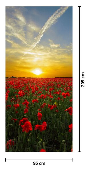 Fototapeta na drzwi - Pole maków (95x205cm)