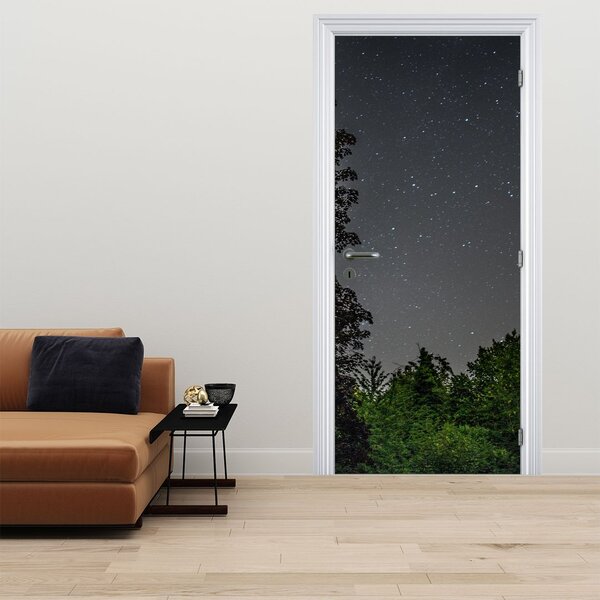 Fototapeta na drzwi - Nocne niebo (95x205cm)