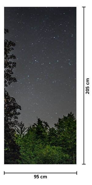 Fototapeta na drzwi - Nocne niebo (95x205cm)