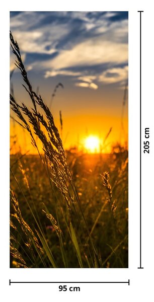Fototapeta na drzwi - Pole o zachodzie Słońca (95x205cm)