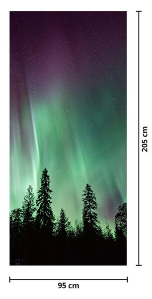 Fototapeta na drzwi - Zorza polarna (95x205cm)