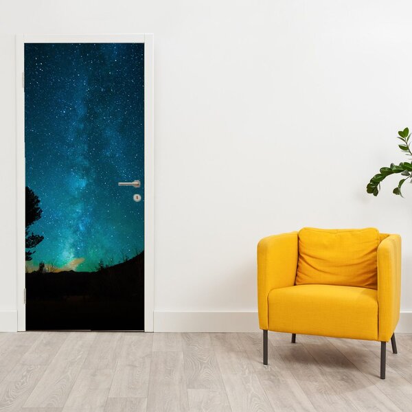 Fototapeta na drzwi - Nocne niebo z gwiazdami (95x205cm)