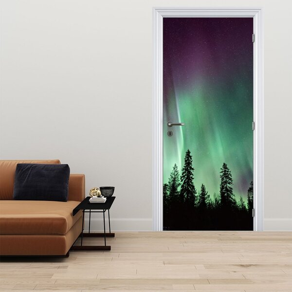 Fototapeta na drzwi - Zorza polarna (95x205cm)
