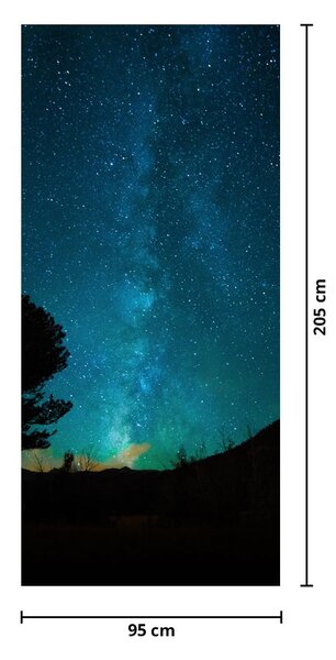 Fototapeta na drzwi - Nocne niebo z gwiazdami (95x205cm)
