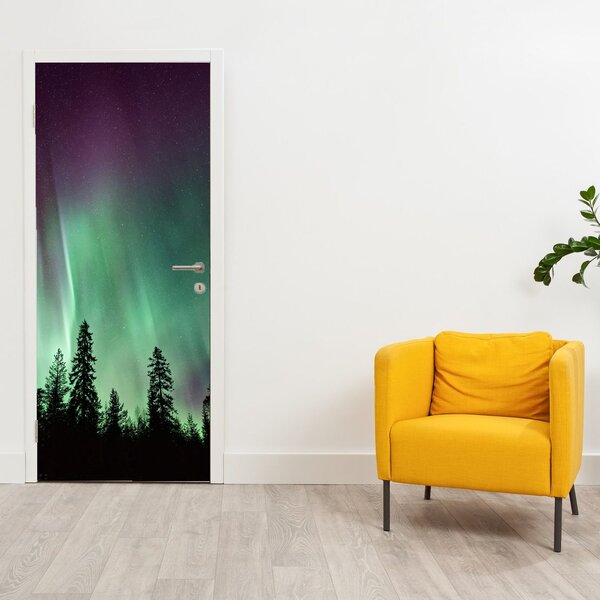 Fototapeta na drzwi - Zorza polarna (95x205cm)