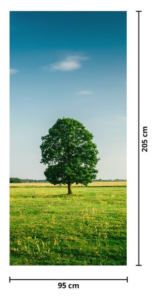 Fototapeta na drzwi - Drzewo na łące (95x205cm)