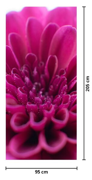Fototapeta na drzwi - Kwiat (95x205cm)