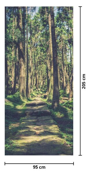 Fototapeta na drzwi - Ścieżka wśród drzew (95x205cm)