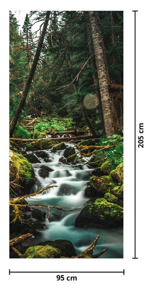 Fototapeta na drzwi - Strumień w lesie (95x205cm)