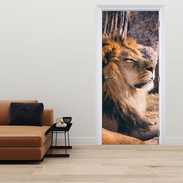 Fototapeta na drzwi - Leżący lew (95x205cm)