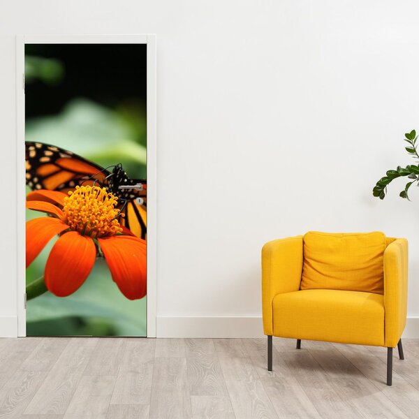 Fototapeta na drzwi - Motyl na kwiatku (95x205cm)