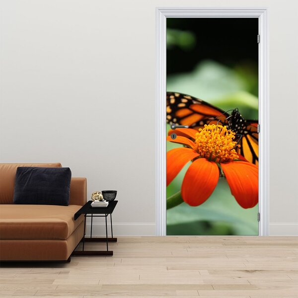 Fototapeta na drzwi - Motyl na kwiatku (95x205cm)