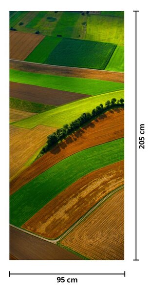 Fototapeta na drzwi - Pole (95x205cm)