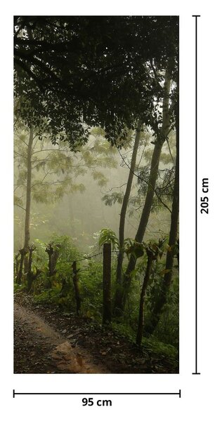 Fototapeta na drzwi - Poranna mgła (95x205cm)