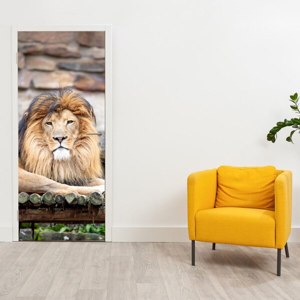 Fototapeta na drzwi - Lew (95x205cm)