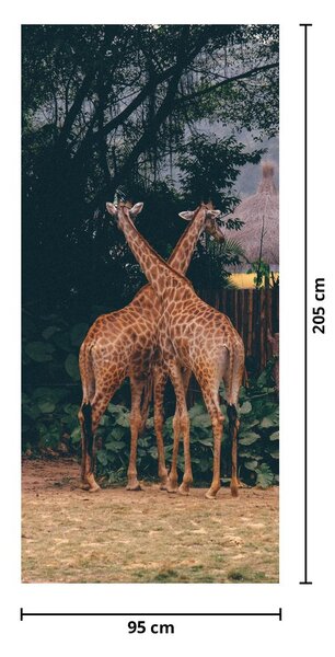 Fototapeta na drzwi - Dwie żyrafy (95x205cm)