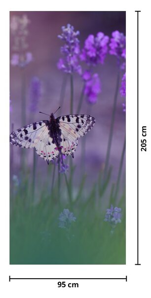 Fototapeta na drzwi - Motyl w lawendzie (95x205cm)