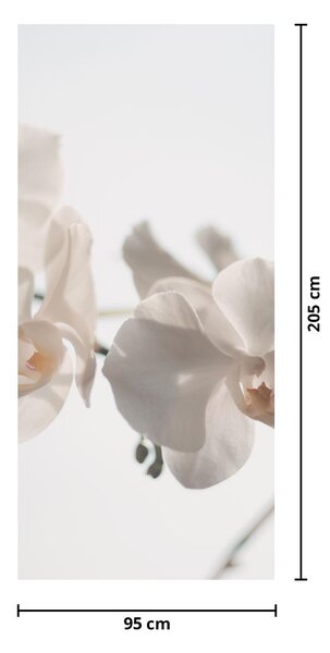 Fototapeta na drzwi - Białe orchidee (95x205cm)
