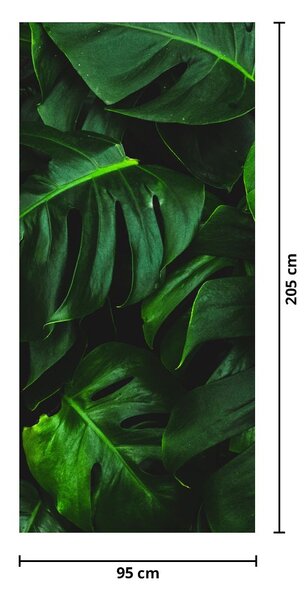 Fototapeta na drzwi - Liście monstery (95x205cm)