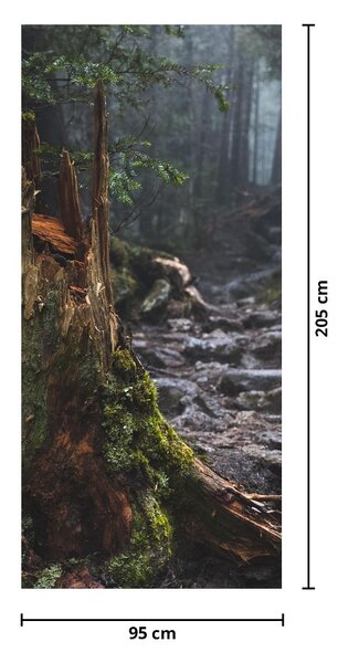 Fototapeta na drzwi - W lesie (95x205cm)