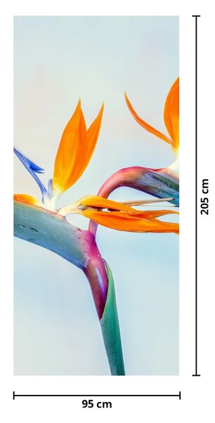 Fototapeta na drzwi - Kwiaty Strelicji (95x205cm)