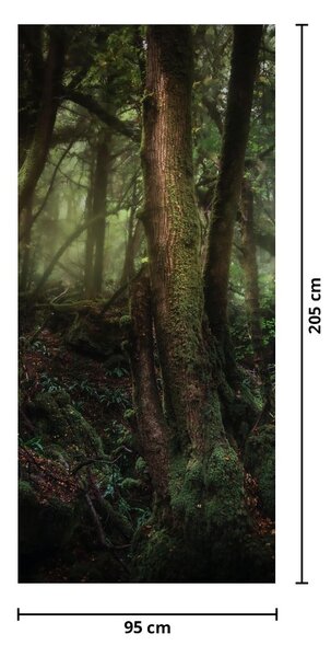 Fototapeta na drzwi - Tajemniczy las (95x205cm)