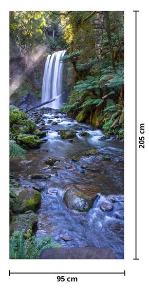 Fototapeta do drzwi - Australijski las deszczowy (95x205cm)