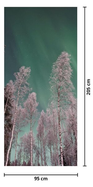 Fototapeta na drzwi - Zorza polarna nad zamarzniętymi drzewami (95x205cm)