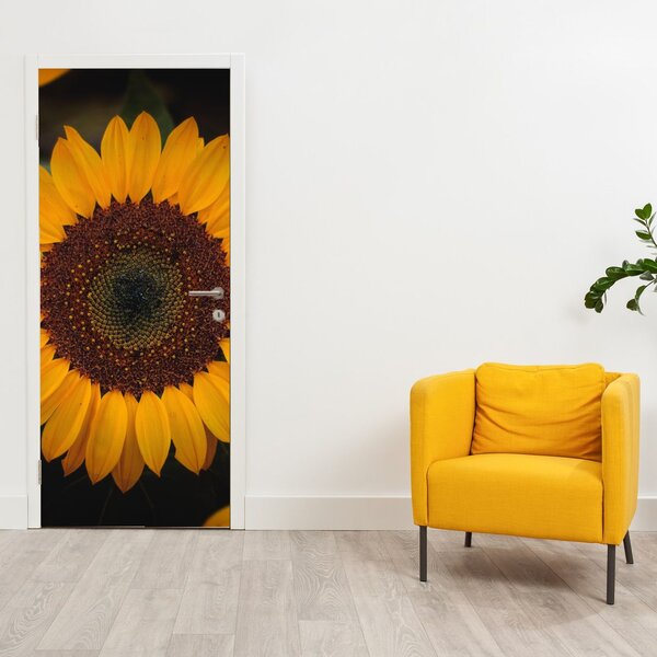 Fototapeta na drzwi - Słoneczniki i płatki kwiatów (95x205cm)