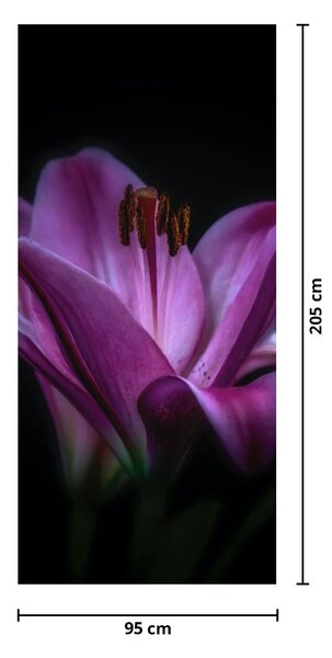Fototapeta na drzwi - Lilie (95x205cm)