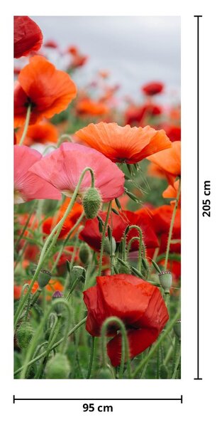 Fototapeta na drzwi - Pole maków (95x205cm)