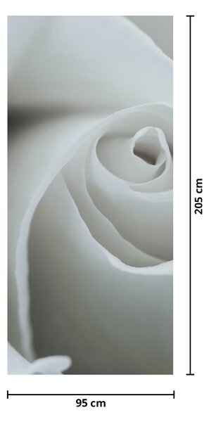 Fototapeta na drzwi - Biała róża (95x205cm)