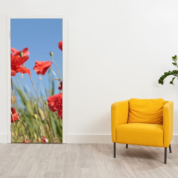 Fototapeta na drzwi - Maki (95x205cm)