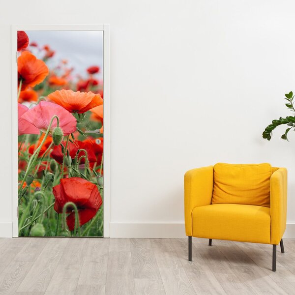 Fototapeta na drzwi - Pole maków (95x205cm)