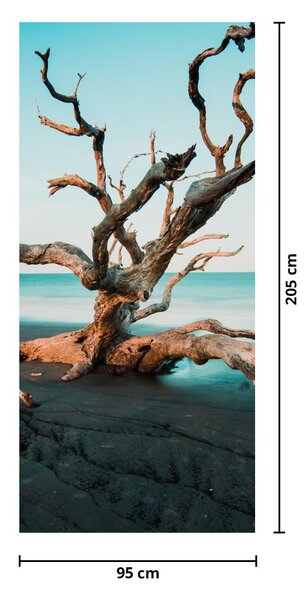 Fototapeta na drzwi - Wypłynęło na plaży (95x205cm)