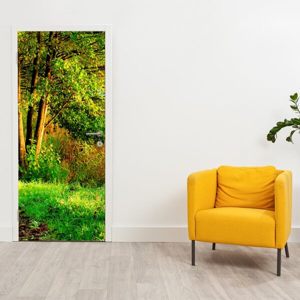 Fototapeta na drzwi - Ścieżka wzdłuż wody (95x205cm)