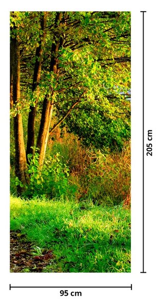 Fototapeta na drzwi - Ścieżka wzdłuż wody (95x205cm)