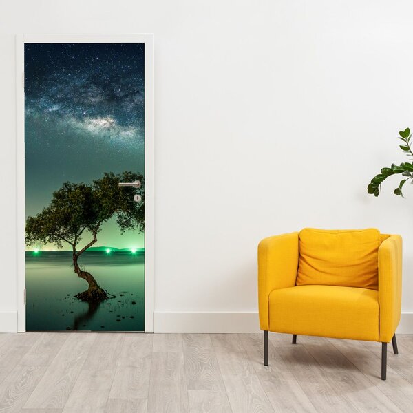 Fototapeta na drzwi - Nocne niebo (95x205cm)