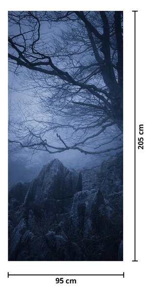 Fototapeta na drzwi - Ciemny las (95x205cm)