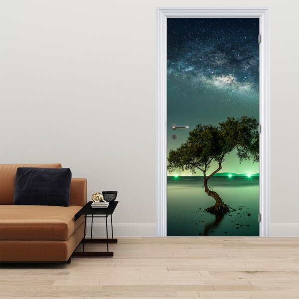 Fototapeta na drzwi - Nocne niebo (95x205cm)