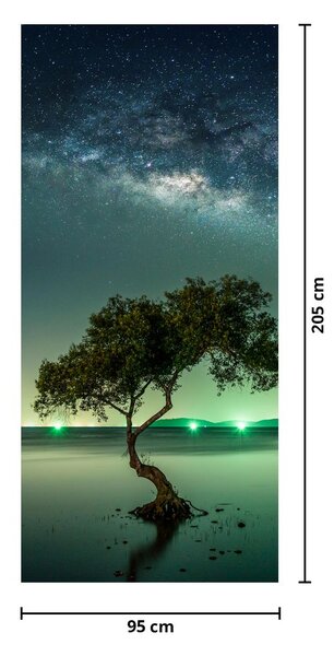 Fototapeta na drzwi - Nocne niebo (95x205cm)