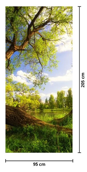 Fototapeta na drzwi - Wiosenna łąka (95x205cm)