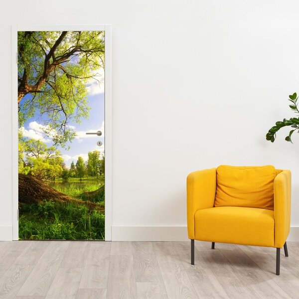 Fototapeta na drzwi - Wiosenna łąka (95x205cm)