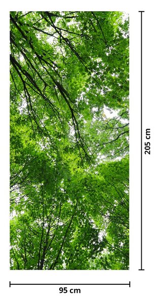 Fototapeta na drzwi - Widok na wierzchołki drzew (95x205cm)