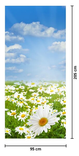 Fototapeta na drzwi - Kwitnąca łąka ze stokrotkami (95x205cm)