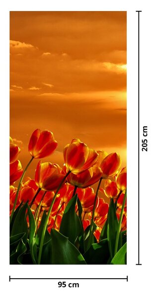 Fototapeta na drzwi - Kwitnąca lina z tulipanami (95x205cm)